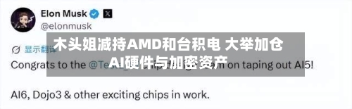 木头姐减持AMD和台积电 大举加仓AI硬件与加密资产