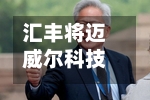 汇丰将迈威尔科技目标价从85美元大幅上调至300美元-第3张图片