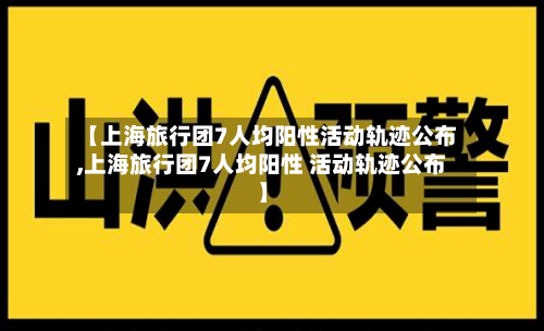【上海旅行团7人均阳性活动轨迹公布,上海旅行团7人均阳性 活动轨迹公布】-第2张图片