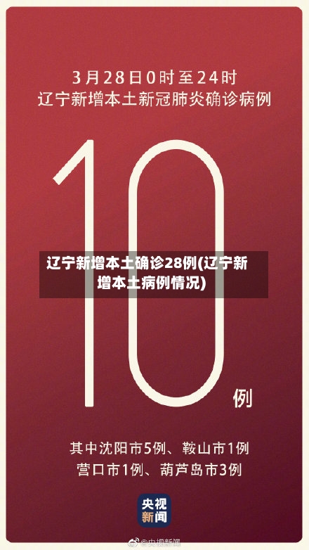 辽宁新增本土确诊28例(辽宁新增本土病例情况)