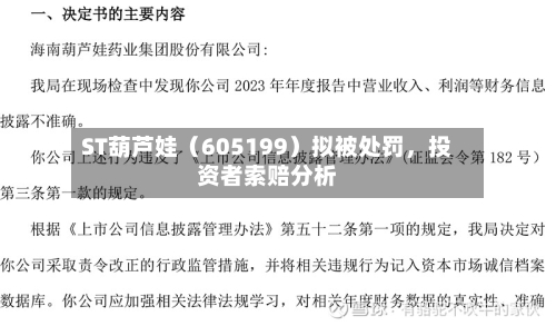 ST葫芦娃（605199）拟被处罚，投资者索赔分析-第2张图片