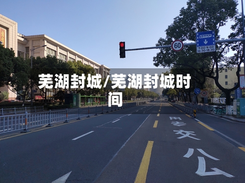 芜湖封城/芜湖封城时间