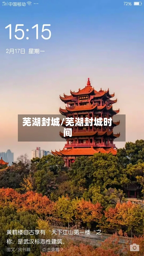 芜湖封城/芜湖封城时间-第3张图片