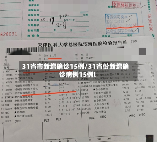 31省市新增确诊15例/31省份新增确诊病例15例l