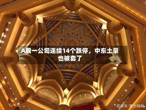 A股一公司连续14个跌停	，中东土豪也被套了-第2张图片